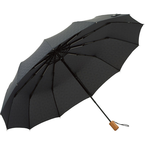 12本骨折りたたみ傘 江戸 SMV-40541（墨）の商品画像