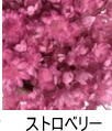 stock equipped Manufacturers lack of middle . attaching order is . hurrying please Star flower Mini dry flower material for flower arrangement all 10 color 
