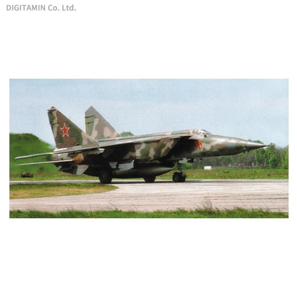 ICM ミグ MIG-25 RBF （1/48スケール 48904） ミリタリー模型の商品画像