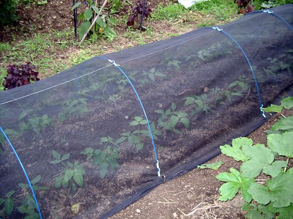  agriculture gardening for cold . shade proportion 51% size width 1.35m× length 5m black 