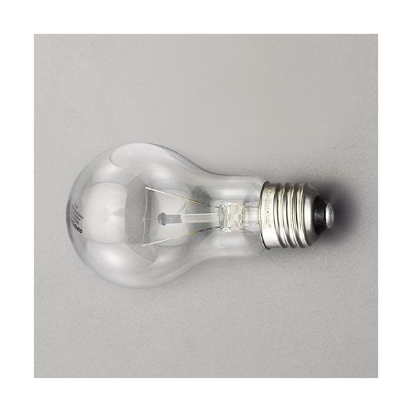 esko(esco) 100V/100W/E26 лампочка ( прозрачный ) EA758XK-102