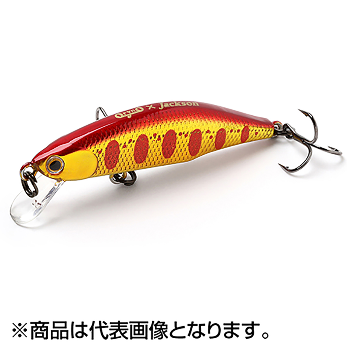 メテオーラ 52 AKY アカキンヤマメの商品画像