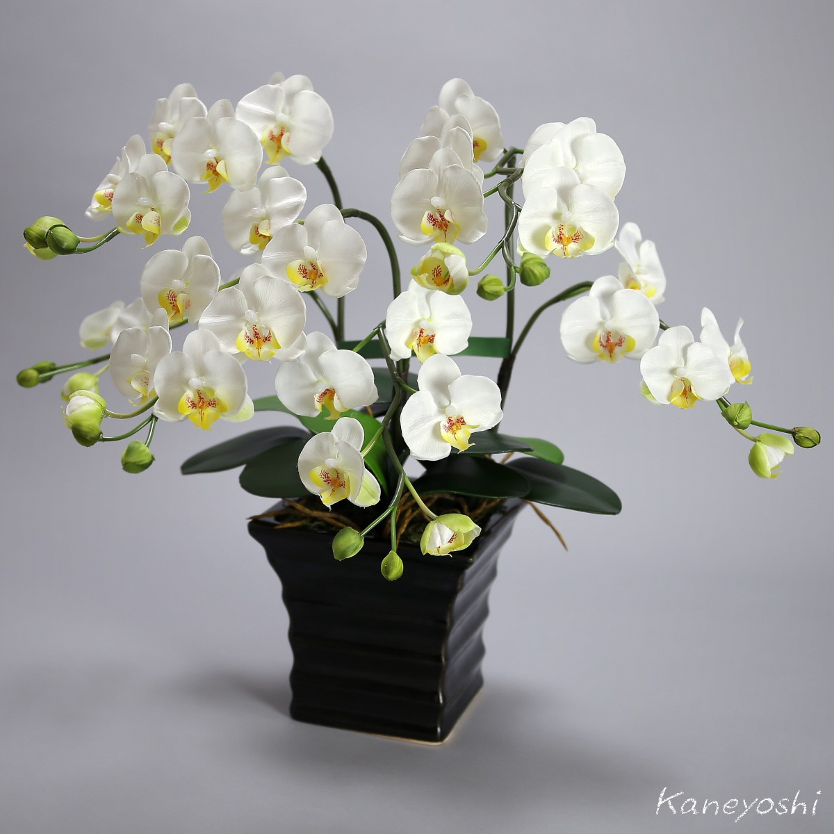  photocatalyst . butterfly orchid artificial flower interior small wheel 3ps.@. white B white color . festival gift souvenir birthday presentation new building opening flower fake green air cleaning 