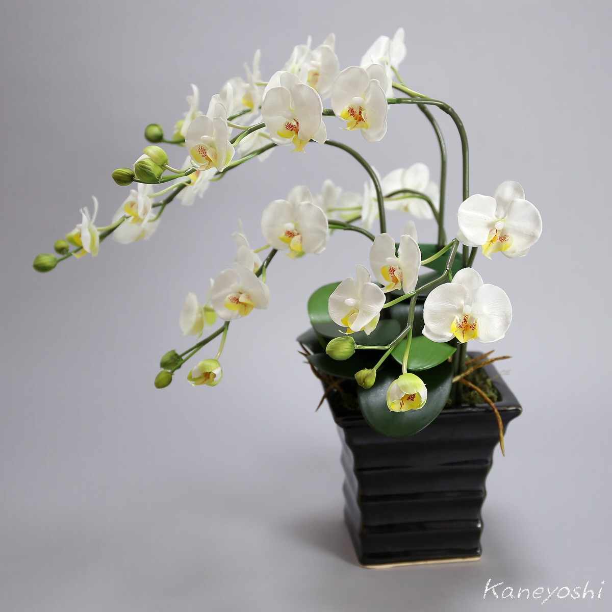  photocatalyst . butterfly orchid artificial flower interior small wheel 3ps.@. white B white color . festival gift souvenir birthday presentation new building opening flower fake green air cleaning 