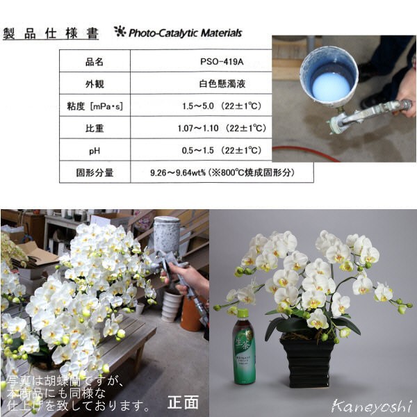  photocatalyst . butterfly orchid artificial flower interior small wheel 3ps.@. white B white color . festival gift souvenir birthday presentation new building opening flower fake green air cleaning 