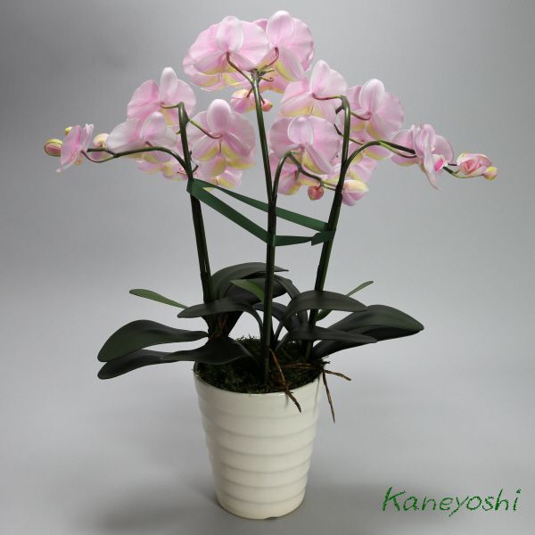  photocatalyst . butterfly orchid artificial flower interior large wheel 3ps.@. sakura pink peach color . festival gift souvenir birthday presentation new building opening flower fake green air cleaning 
