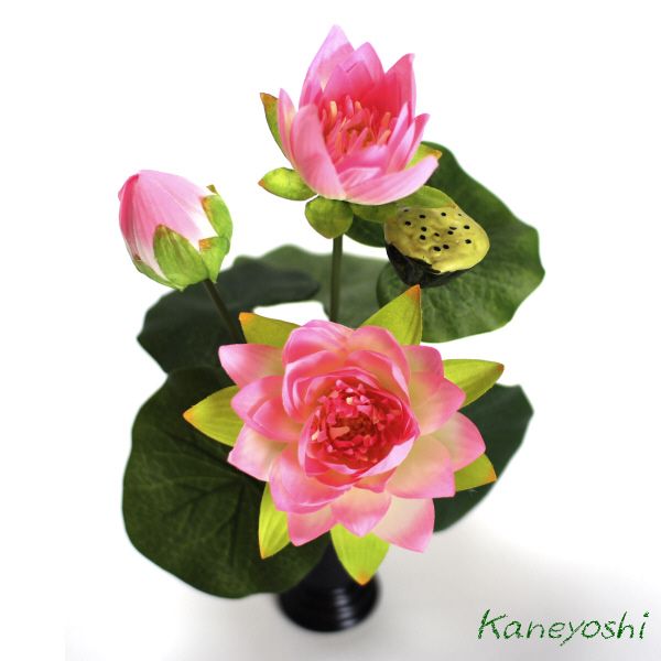 o... flower . flower flower gift photocatalyst lotus. flower pink stand for flower vase attaching 