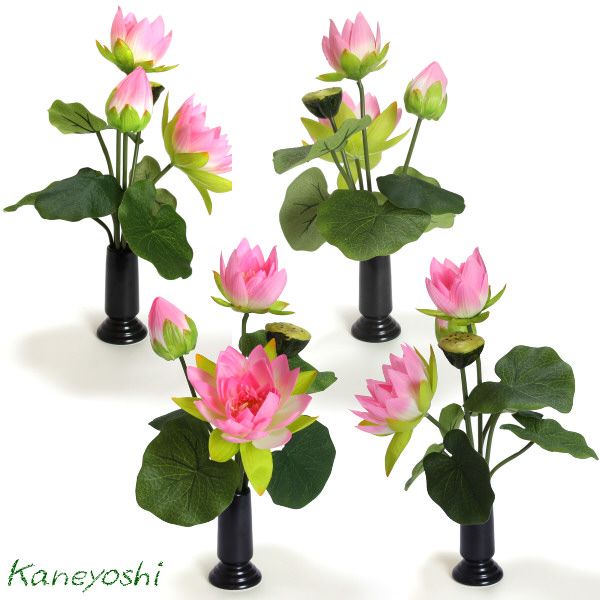 o... flower . flower flower gift photocatalyst lotus. flower pink stand for flower vase attaching 