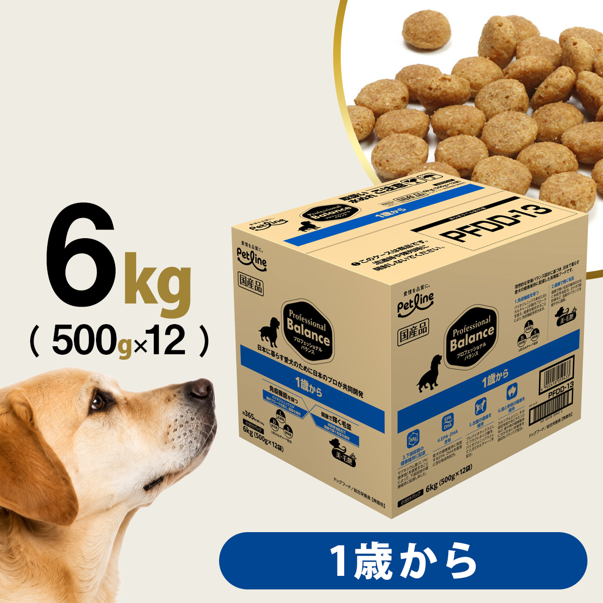 ペットライン プロフェッショナル・バランス 1歳から 成犬用 6kg（500g