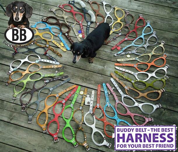 ... recommendation BB Harness bati- belt 3 number BUDDY BELT BUDDYBELT pet dog dog for Harness harness leather original leather dog dog for do