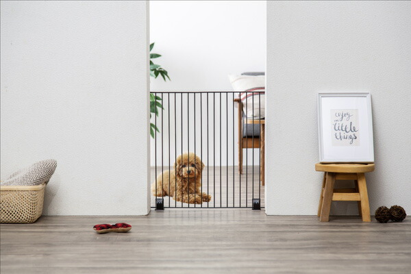  pet fence Iris o-yama pet fence P-SPF-66 mat Brown mat white dog cat dog cat pet accessories gate . go in prevention 