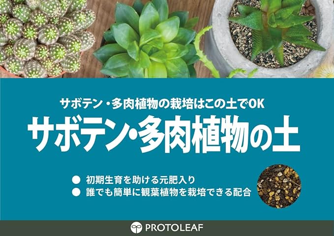  кактус * суккулентное растение. земля 2L Pro to leaf 