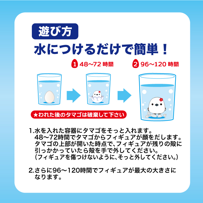 ko.... Tama .simaenaga2 kind assortment ( pink * blue ) water among on a grand scale become tamago series kindergarten child care . Children's Meeting present e-s ta- huge . Tama .