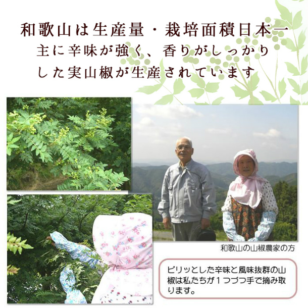 2023 new thing [ branch taking . settled *ak pulling out settled ] raw freezing Wakayama prefecture production grape zanthoxylum fruit real zanthoxylum fruit 200g* Hokkaido * Okinawa . is postage separately 1500 jpy ( san ... reference zanthoxylum fruit. real sun sho)