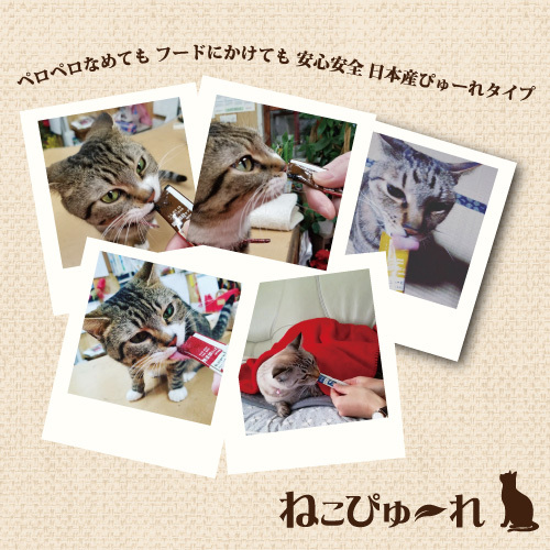  Japan production cat for bite ....-.. acid . plus Premium100 seafood Mix 20 pcs insertion (4ps.@×5 sack ) domestic production / cat food 