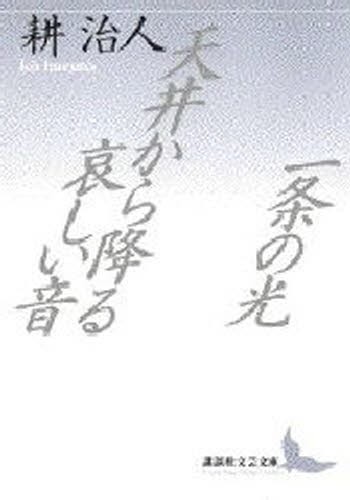一条の光・天井から降る哀しい音 （講談社文芸文庫） 耕治人／〔著〕の商品画像
