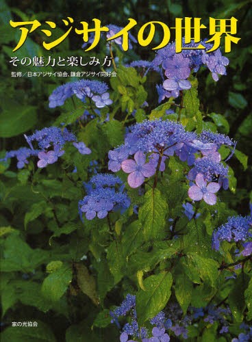 図解菊つくりコツのコツ これなら誰でも名人芸　決定版　絶版希少 これなら誰でも名人芸図解菊つくりコツのコツ 新版 | 上村 遥 |本