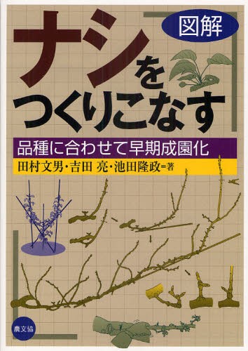 図解ナシをつくりこなす　品種に合わせて早期成園化 田村文男／著　吉田亮／著　池田隆政／著の商品画像