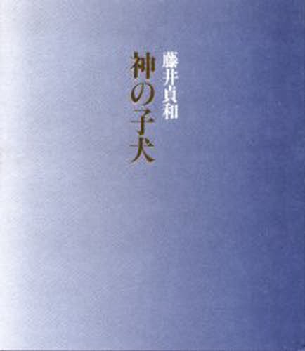神の子犬 藤井貞和／著の商品画像