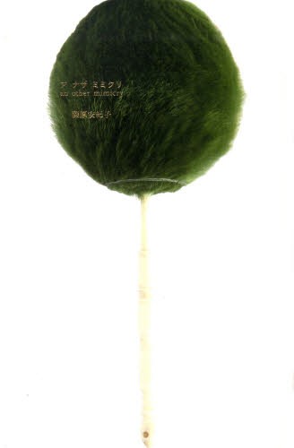 アナザミミクリ 藤原安紀子／著の商品画像