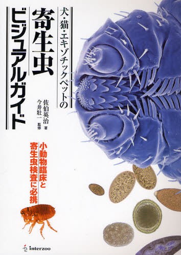 犬・猫・エキゾチックペットの寄生虫ビジュアルガイド　小動物臨床と寄生虫検査に必携 （犬・猫・エキゾチックペットの） 佐伯英治／著　今井壯一／監修の商品画像