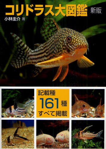 コリドラス大図鑑　記載種１６１種すべて掲載 （アクアライフの本） （新版） 小林圭介／著の商品画像