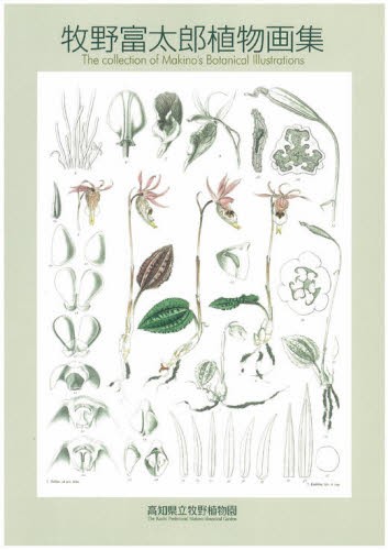 牧野富太郎植物画集 牧野富太郎／〔画〕　高知県立牧野植物園／編著　高知県牧野記念財団／編著の商品画像