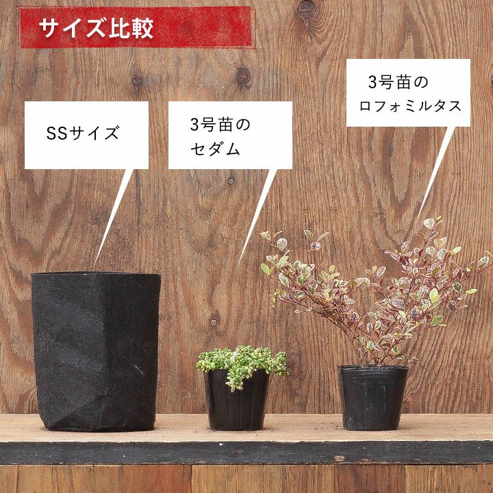 root pouch non-woven 1 gallon planter pot cover plant herb fruit tree .. change roots pouch SS( non-woven. plant pot )[ width 15cm]