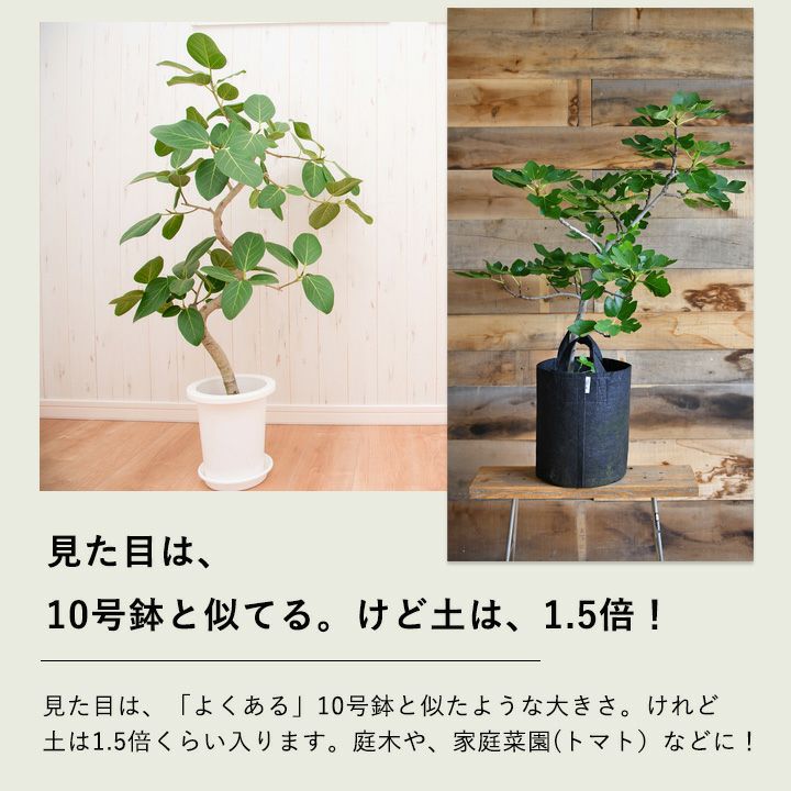 root pouch non-woven planter pot cover plant herb fruit tree .. change roots pouch *.. high long type [ diameter 29cm #6] e- flower shop san 