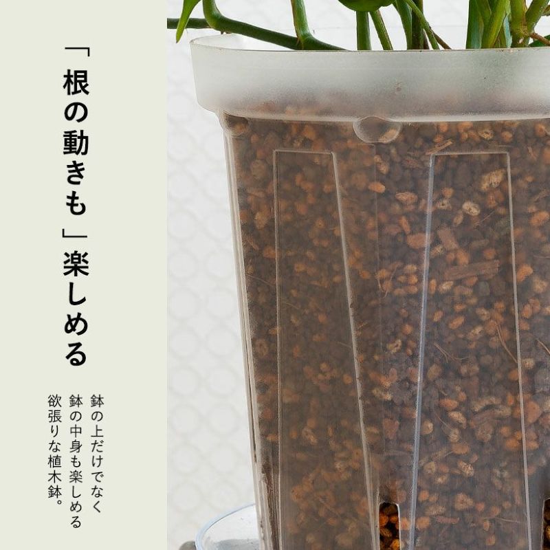  plant pot transparent pra pot negami L transparent slit pot [5 number size ×3 pot SET]. hill gardening 