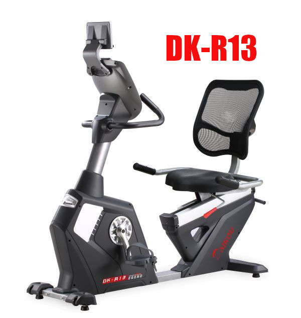 DAIKOU 家庭用リカンベントバイク DK-8604R フィットネスバイク - 最