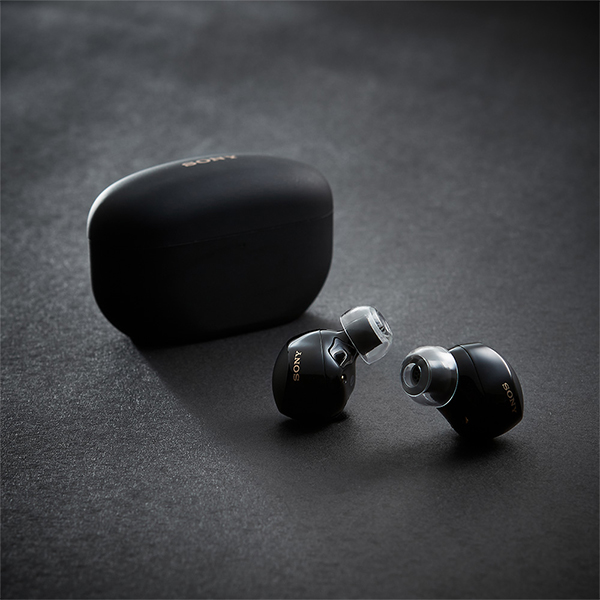 AZLA SednaEarfit XELASTEC II Standard year piece ML size 2 pair year chip iyapi earphone. rubber (AZL-XELASTECII-ST-ML)