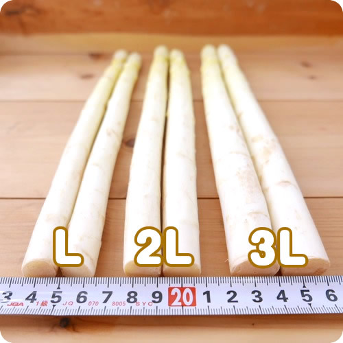  органический белый aspala бесплатная доставка 3L размер 17~20шт.@1Kg и больше надежный Hokkaido иметь машина культивирование 