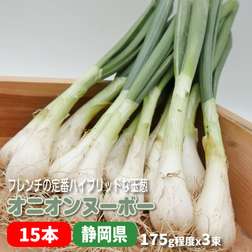 oni on Novo -15ps.@(5ps.@x3 bundle ) 520g degree Pro . popular welsh onion .tama welsh onion .. body did West onion Shizuoka prefecture production 