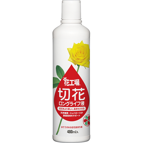  flower factory cut flower long-life fluid 480ml Sumitomo . an educational institution . cut flower long life .