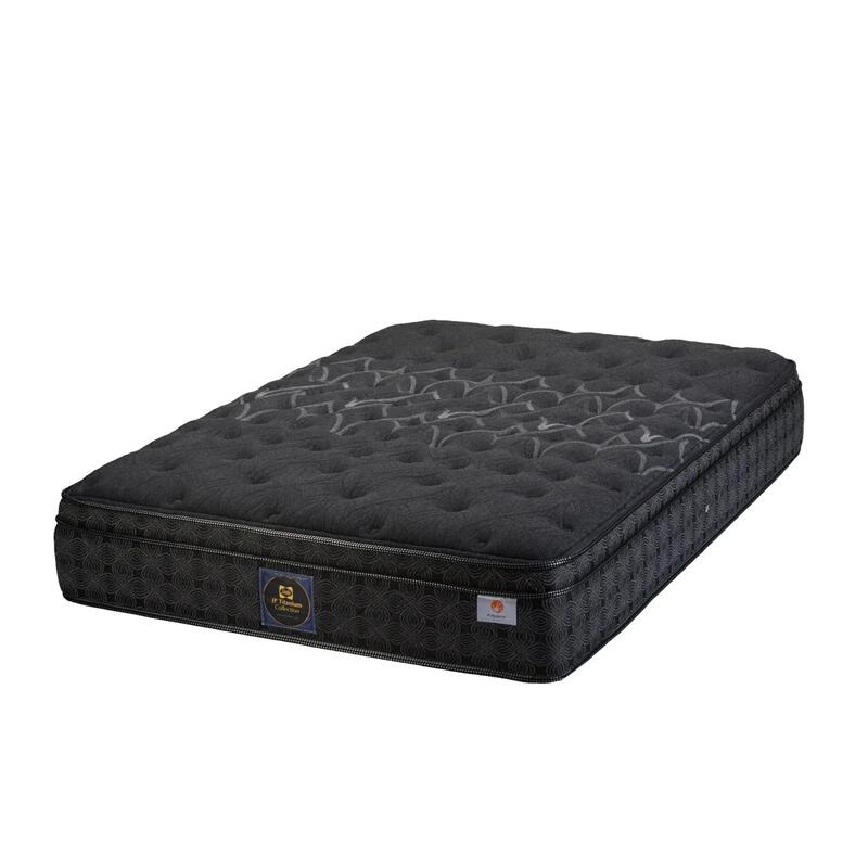 Sealy チタンコレクション クラリスII Firm［ハードタイプ］ 厚さ28cm