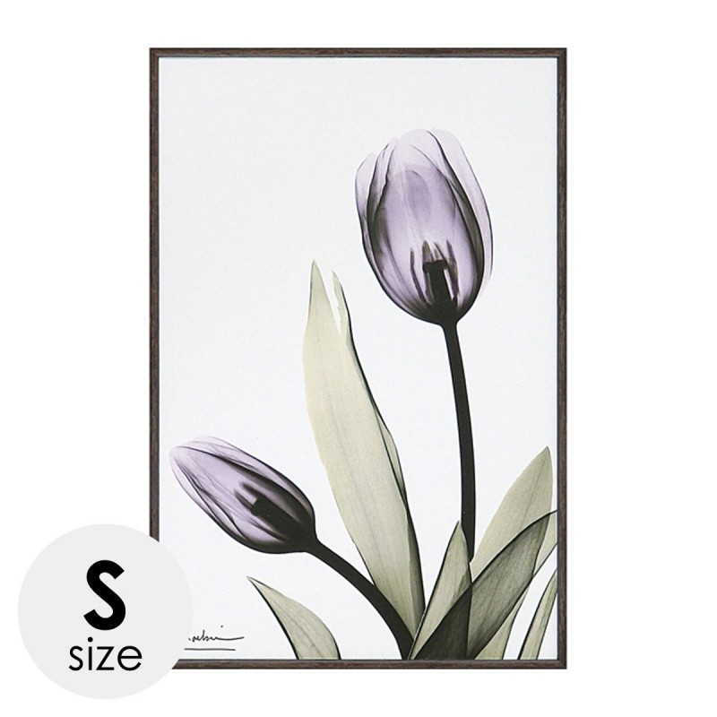 絵画 アートパネル 絵 花 モダン おしゃれ X Ray キャンバスアート チューリップ Xr アイデア雑貨の専門店 雑貨屋 通販 Yahoo ショッピング