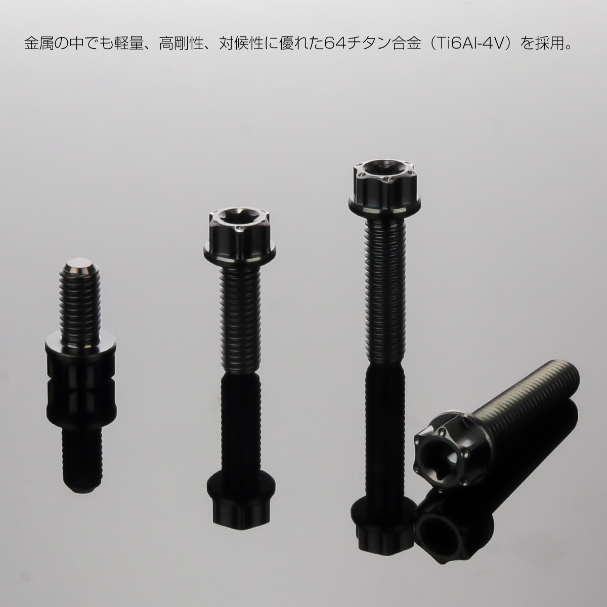 チタンボルト M5×25mm P0.8 六角ボルト トルクス穴 フランジ付き