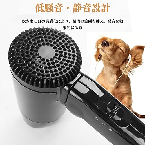  hair dryer dryer car folding type 12V 216W travel Drive home use travel for temperature manner sending manner compact hair dryer 