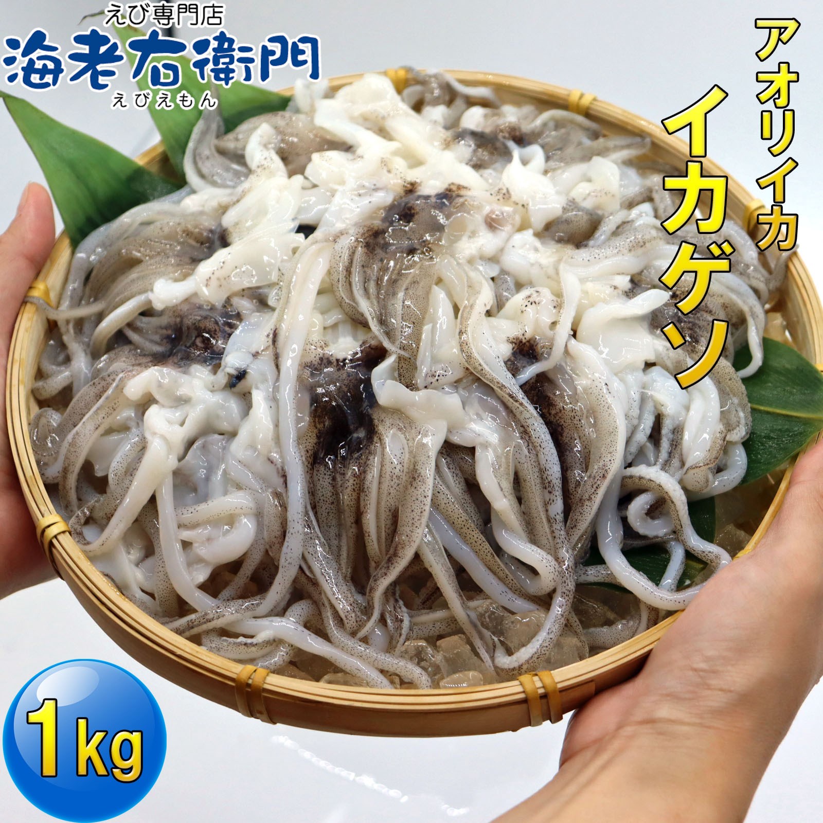  sea . right .. Sri Lanka flap squid geso1kg softly .... strong flap squid geso salt roasting recommended squid under pair ...... barbecue .. present 20/30 business use 