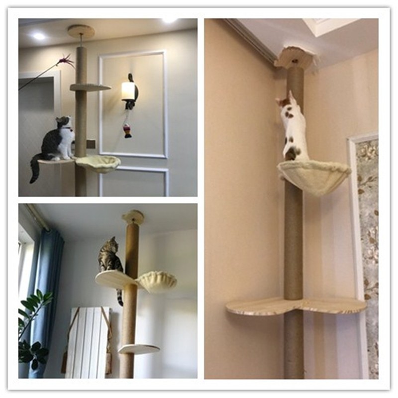  tree .. tower change hammock enhancing parts great popularity [ tree .. tower ]. addition * for exchange hammock cat tower hammock 