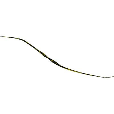 JACKALL ビンビン玉T＋ネクタイ セミカーリー シマシマグリパンゴールド メタルジグの商品画像