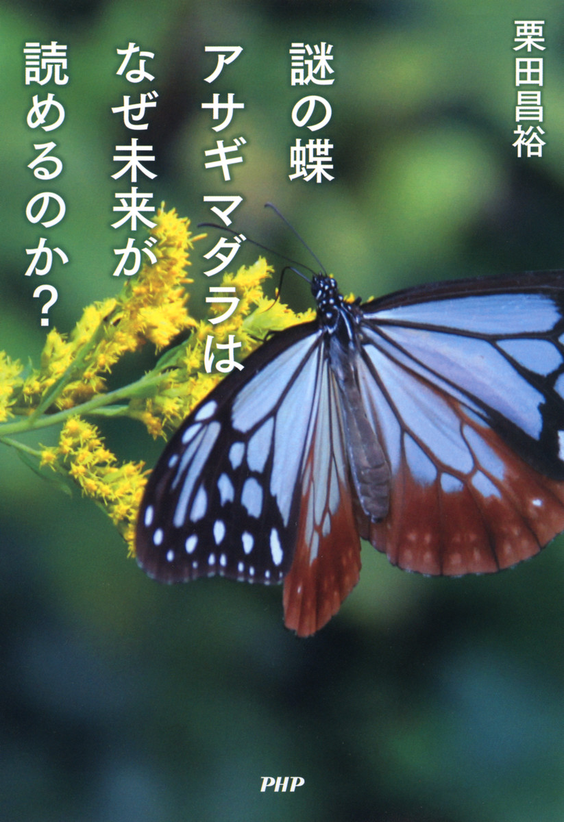 謎の蝶アサギマダラはなぜ未来が読めるのか？ 栗田昌裕／著の商品画像