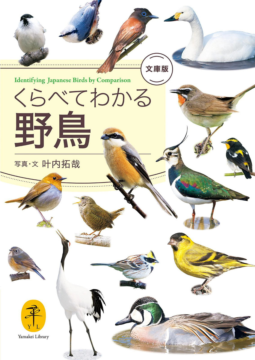 くらべてわかる野鳥　文庫版 （ヤマケイ文庫） 叶内拓哉／著の商品画像