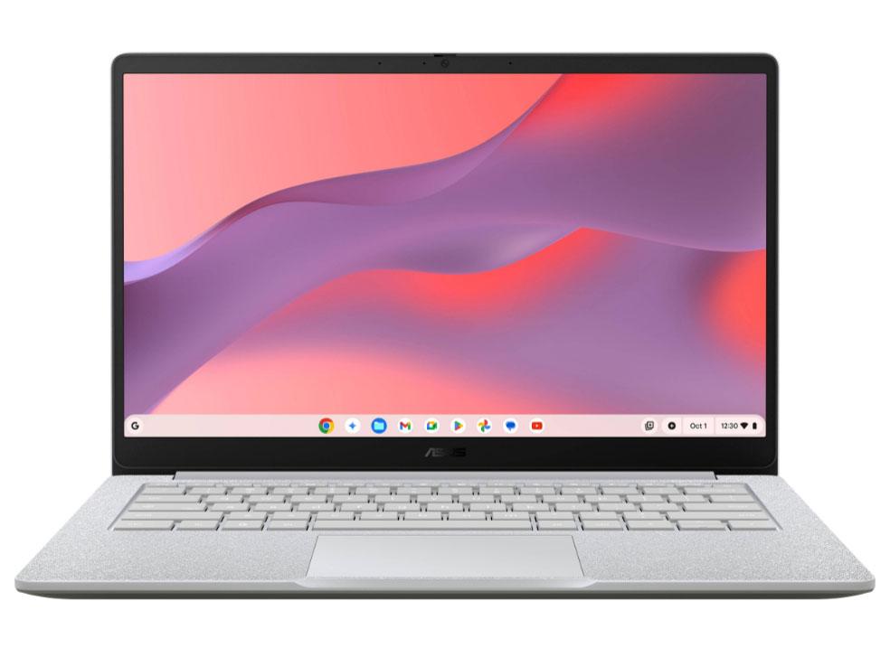 ASUS ASUS Chromebook Detachable CM3（CM3000） ミネラルグレー