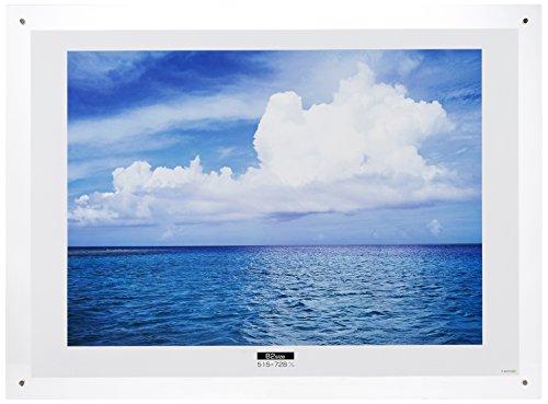 ナカバヤシ ナカバヤシ アクリル製ピクチャーフレーム 壁掛けタイプ B2 フ-ACH-B2 × 1個 写真立て、フォトフレームの商品画像