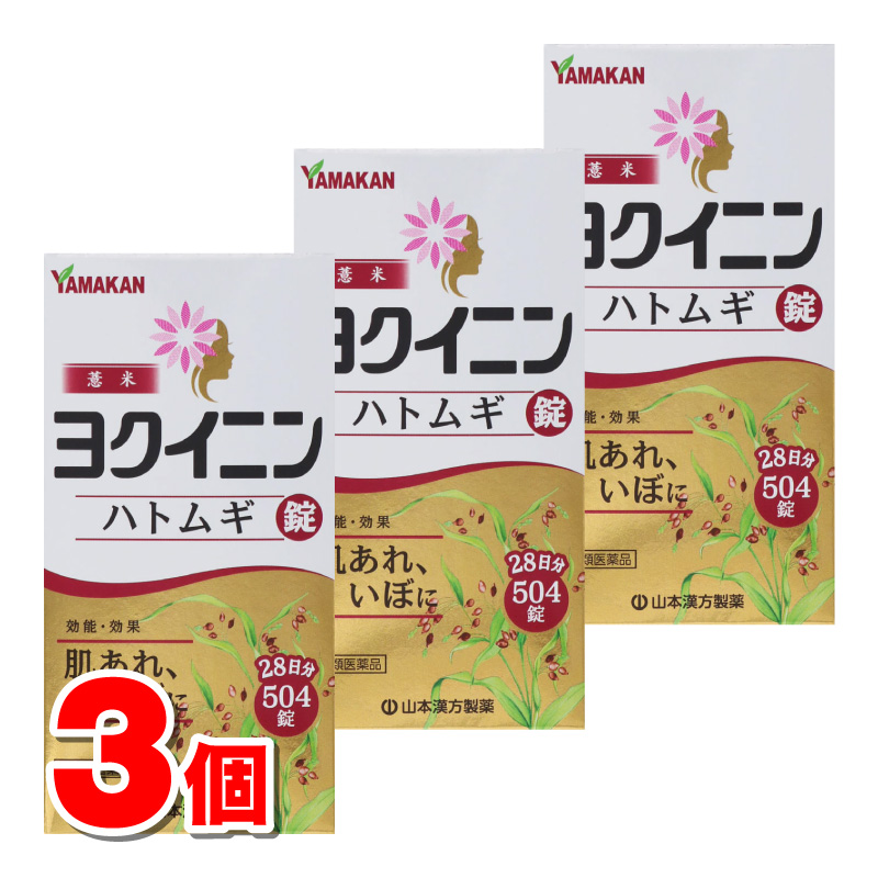 [ no. 3 kind pharmaceutical preparation ] Yamamoto traditional Chinese medicine yoki person is Tom gi pills 504 pills ×3 piece 0