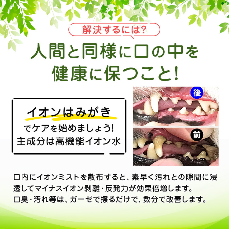  for pets brush teeth dog tooth stone removal ion dog is ... no addition business use 100ML dog bad breath dog tooth paste 