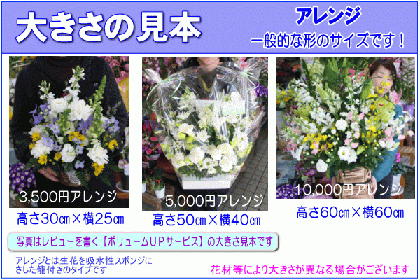 o..*....... flower arrangement bouquet 3,500 jpy free shipping next day delivery .... correspondence memorial service law necessary funeral ... O-Bon pet [200 jpy OFF coupon ..]