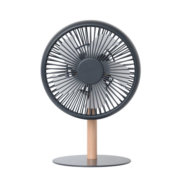 plus more ミニリビングファン LEDライト付 PBAF003-DG （ダークグレー）の商品画像